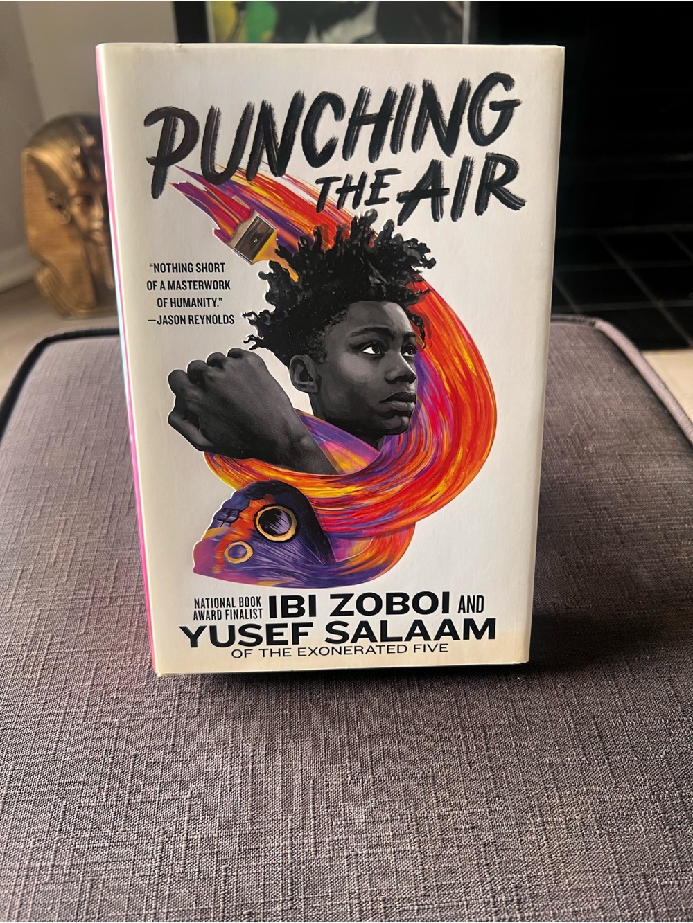 Punching The Air By Ibi Zoboi and Yusuf Salaam